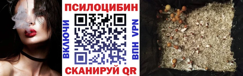 Псилоцибиновые грибы прущие грибы  где купить   Сретенск 